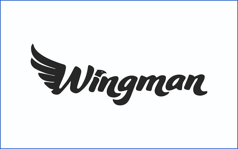 Wingman 3